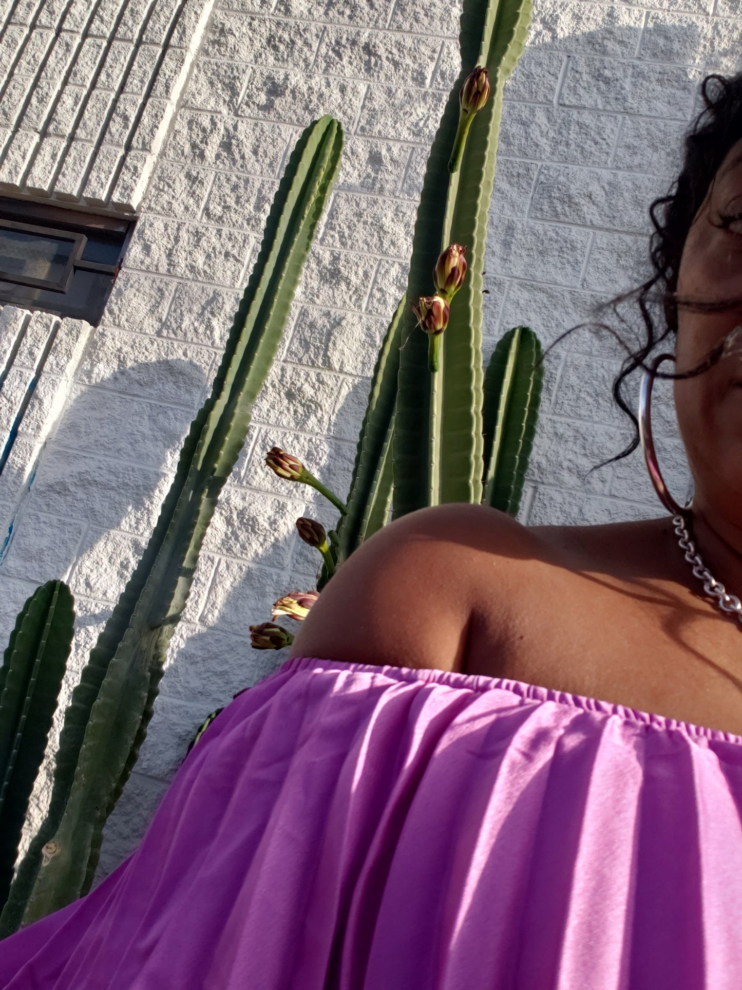 Desert Rose